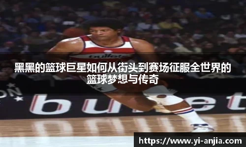 8868体育官网入口