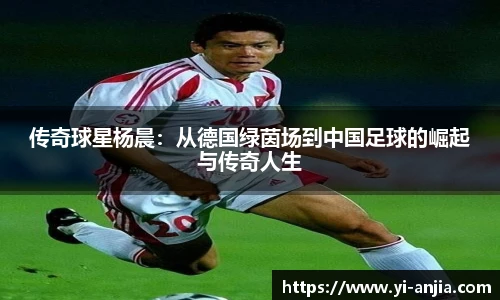 8868体育官网