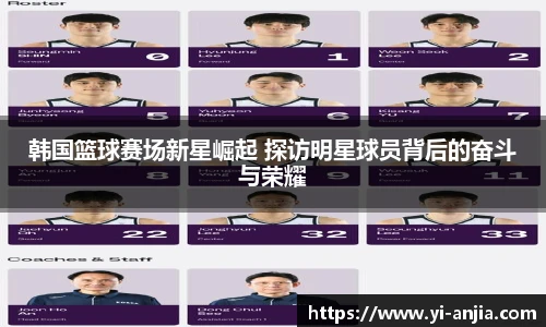 8868体育官网