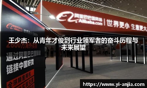 王少杰：从青年才俊到行业领军者的奋斗历程与未来展望